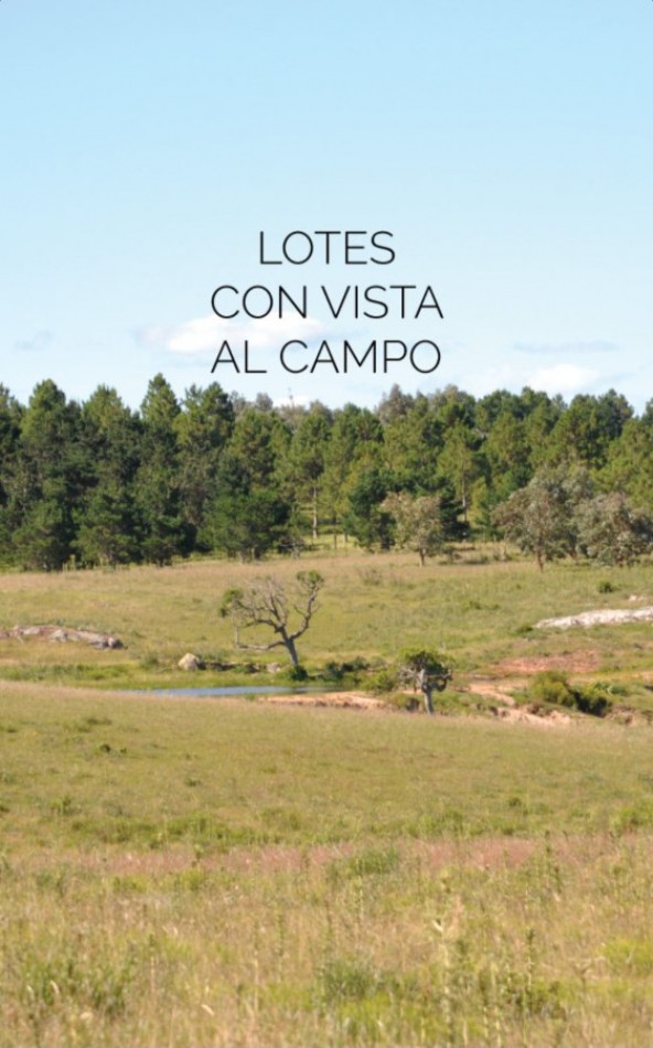 LAGUNA ESCONDIDA EN JOSE IGNACIO