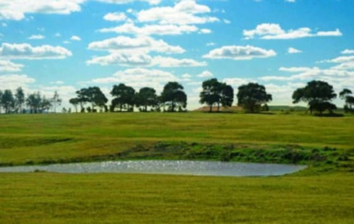 Lote en Laguna de los Cisnes