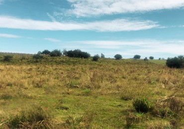 CHACRA 6.5 HECTAREAS. RUTA 9/Corte de la Leña