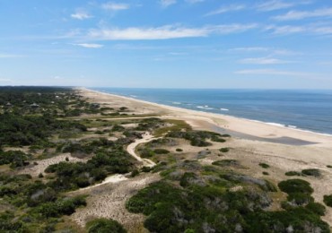 55 HECTAREAS EN ROCHA A METROS DEL MAR