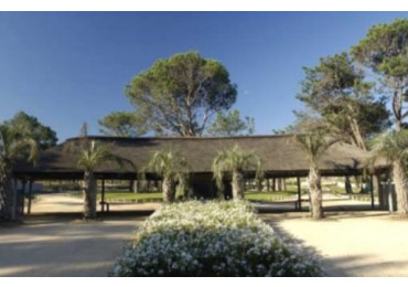 Pinar del Faro, Jose Ignacio