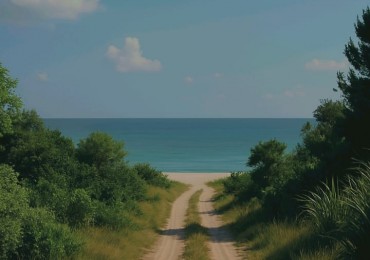 Rocha, 810 hectareas costa de mar