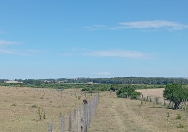 18 HECTAREAS ZONA RUTA 9 SOBRE ASFALTO