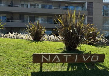 Departamento en Rincon del Indio 