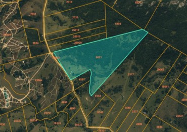 Campo sobre Ruta del Vino, Bodega Garzon