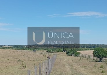 18 HECTAREAS ZONA RUTA 9 SOBRE ASFALTO