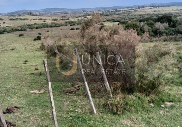 PUEBLO EDEN. 2 chacras de 6 hectareas a 5 km de Pueblo Eden