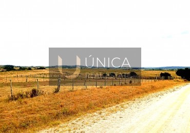 Pueblo Garzon, 61 hectareas a 35 minutos de Jose Ignacio